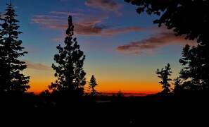 La silhouette d’une forêt, avec de grands arbres se découpant sur un ciel au coucher du soleil.