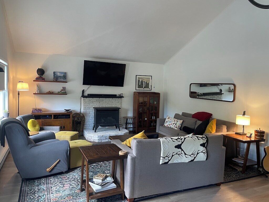 TV connectée, cheminée, lecteur de DVD, livres