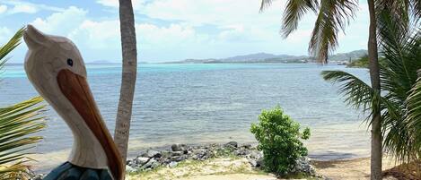 Escena de playa con una gran escultura de pelícano, palmeras y vistas al océano.