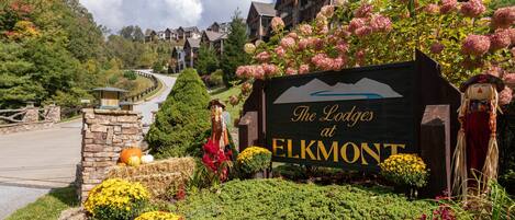 المنطقة المحيطة بالمنشأة