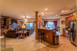TV, fireplace