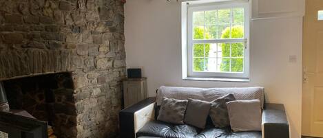 Una televisión, una chimenea