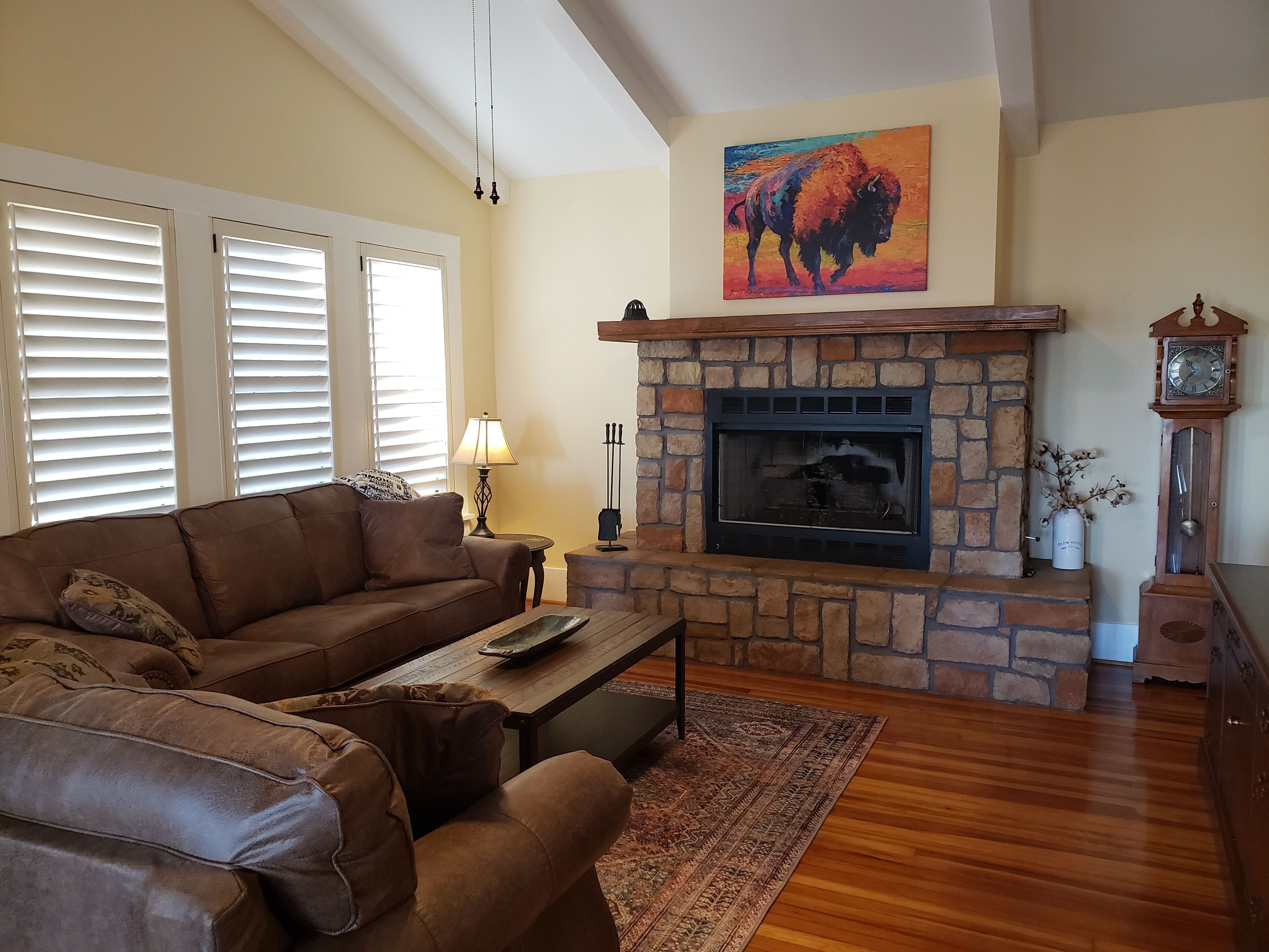 Smart TV, fireplace, books