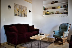 Smart TV, caminetto, libri