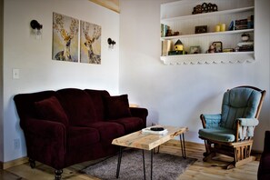 TV connectée, cheminée, livres