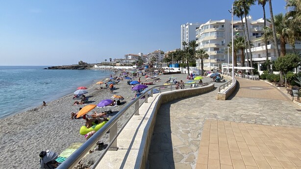 A beach scene with a stone walkway, palm trees, and beach umbrellas.