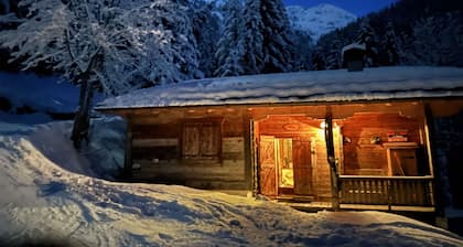 Chalet Nature, Pistes en Hiver & Alpages en Été, pour 14 Pers., Cheminée, Wifi, Balcons & Terrasse