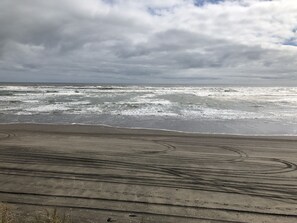 Beach nearby - Cute & cosy-  minute walk to the Beach  (Port Waikato)