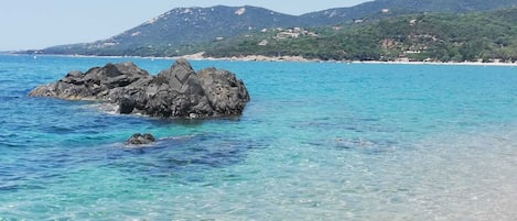 Plage à proximité