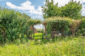 Un jardin avec un banc en bois, une arche en métal et une pelouse.