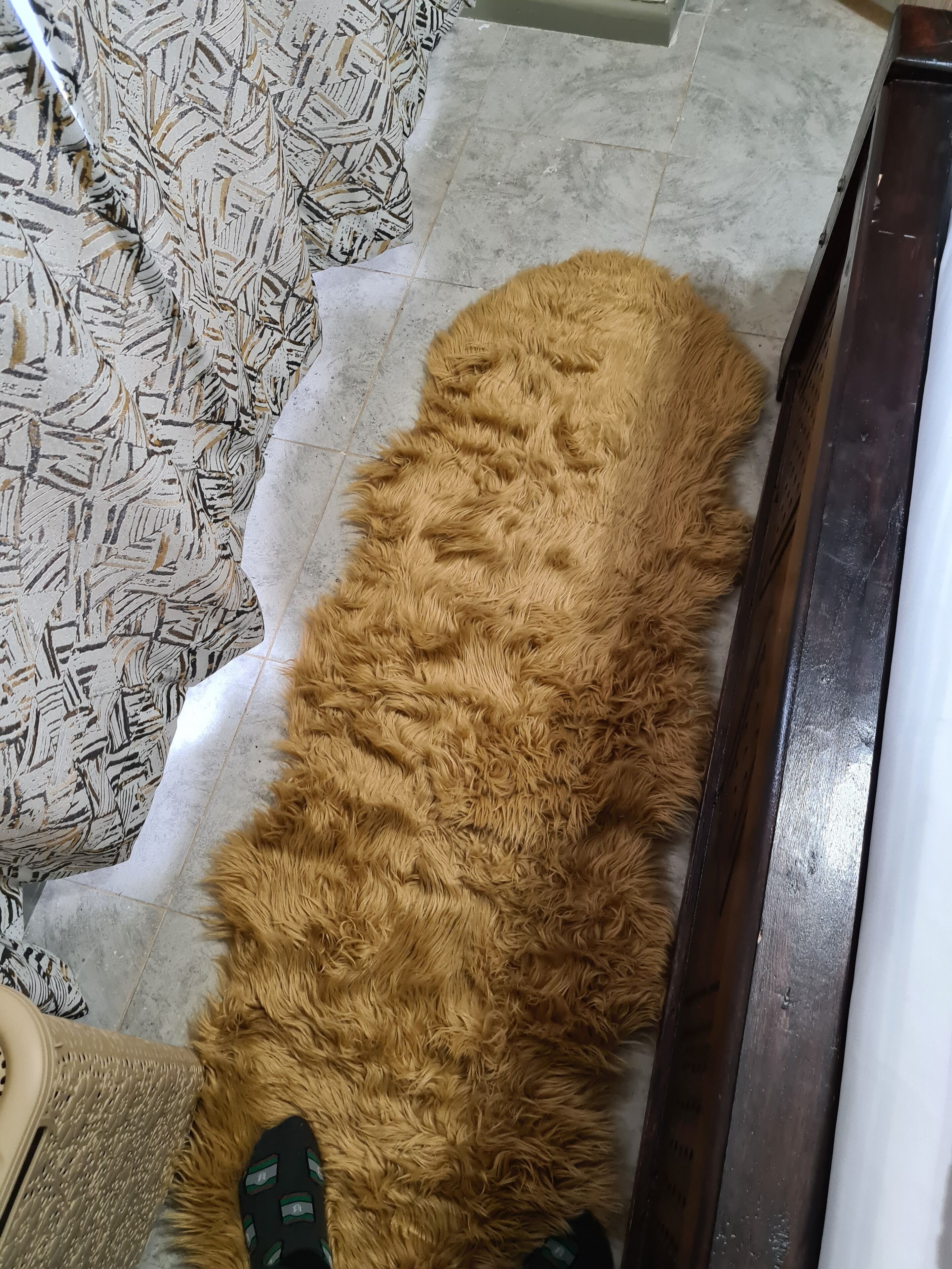A room with a patterned rug, a fluffy brown rug, and a wooden door.