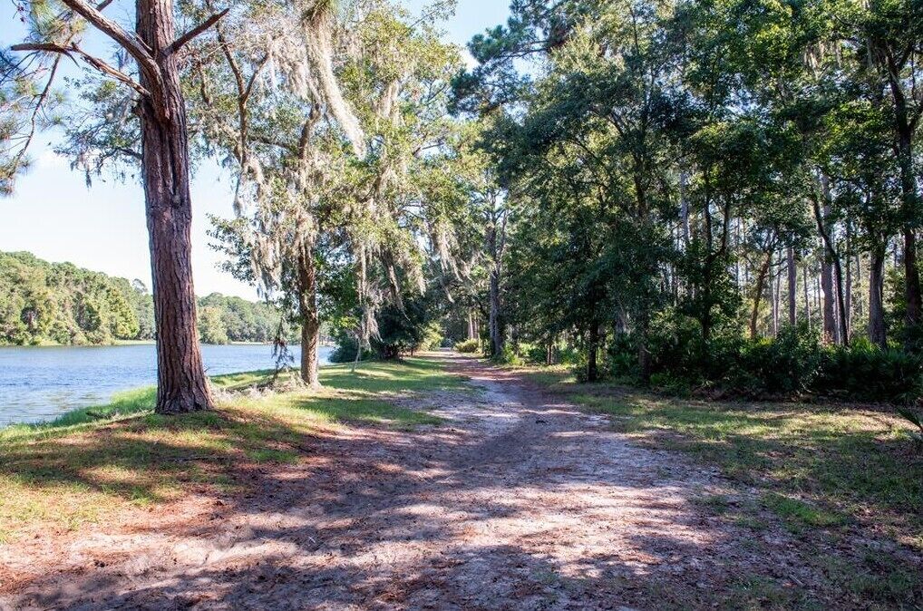 A dirt path leading through a wooded area with a lake on one side.