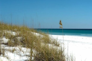 Plage à proximité
