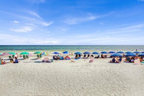 Playa en los alrededores