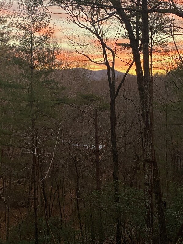 Property grounds - " Lazy Bears Cabin" Located in Cherry Log
Highly Rated 9.8 overall by Guest (Blue Ridge)