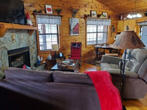 Smart TV, fireplace, DVD player, books