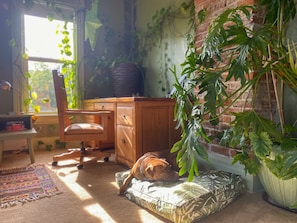 Un chien se repose sur un coussin à motifs dans une pièce où se trouvent un bureau, une chaise et une grande plante en pot.