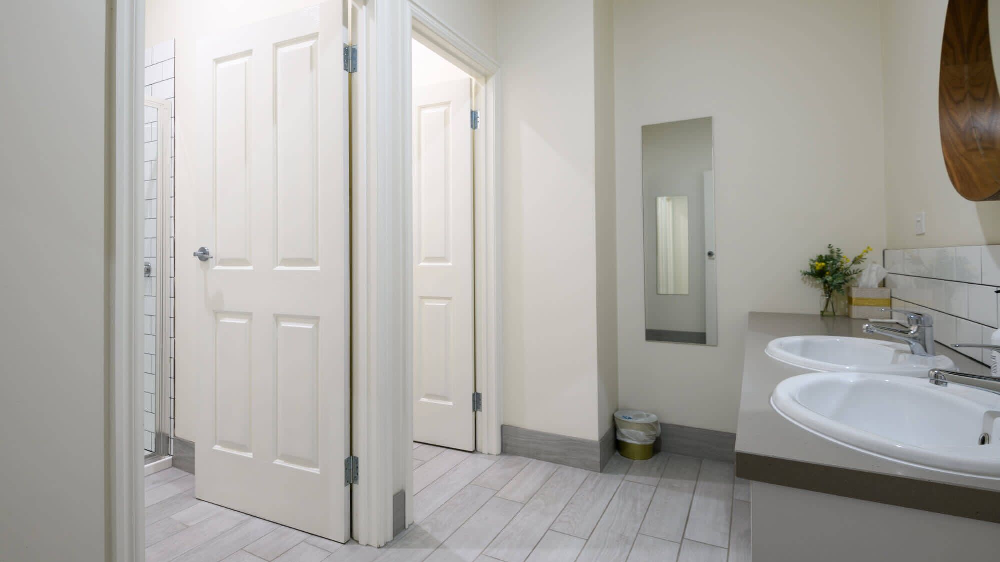 Chuveiro, secador de cabelo, toalhas de banho, shampoo