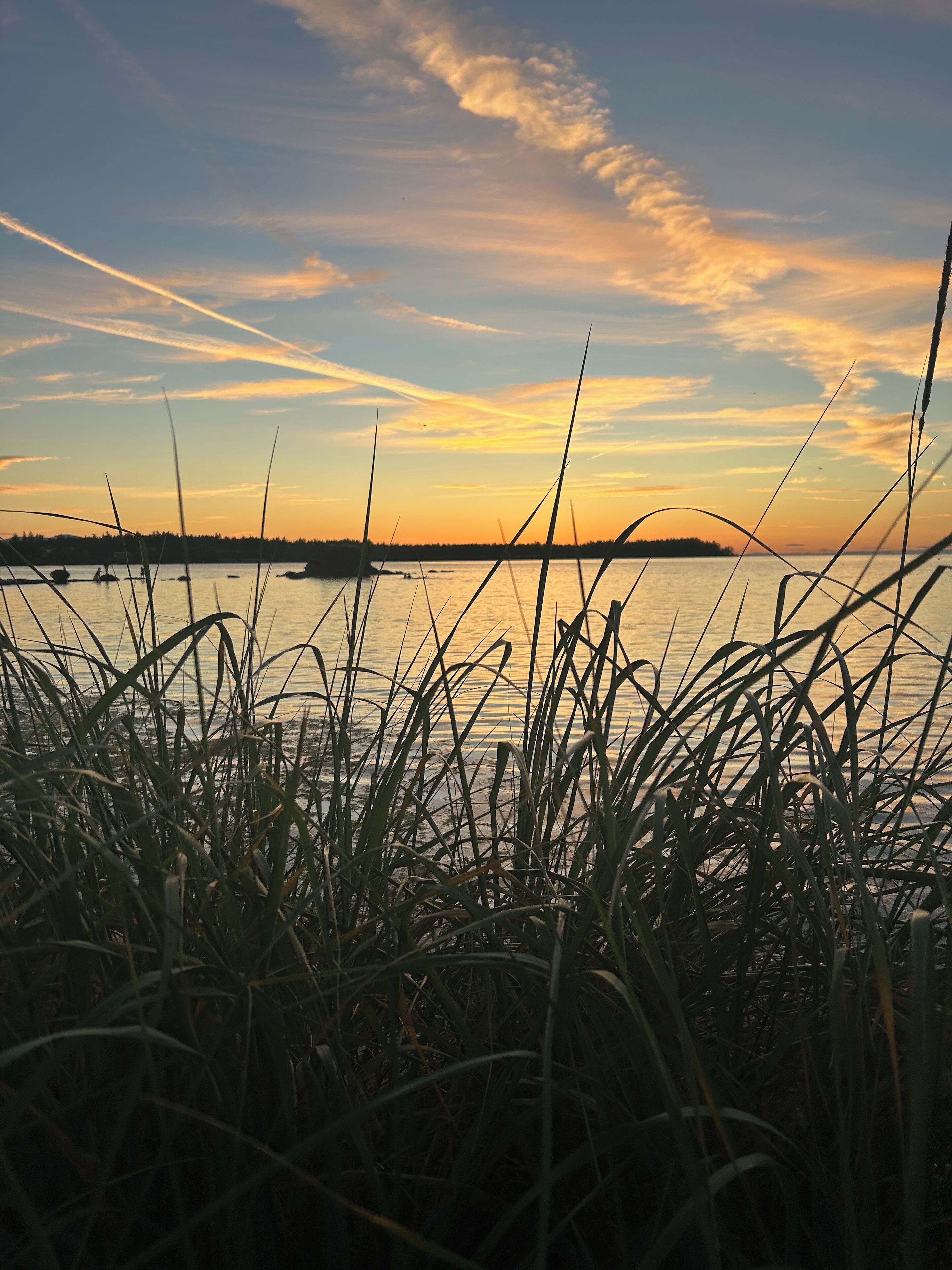 A sunset view over a body of water with grass in the foreground.