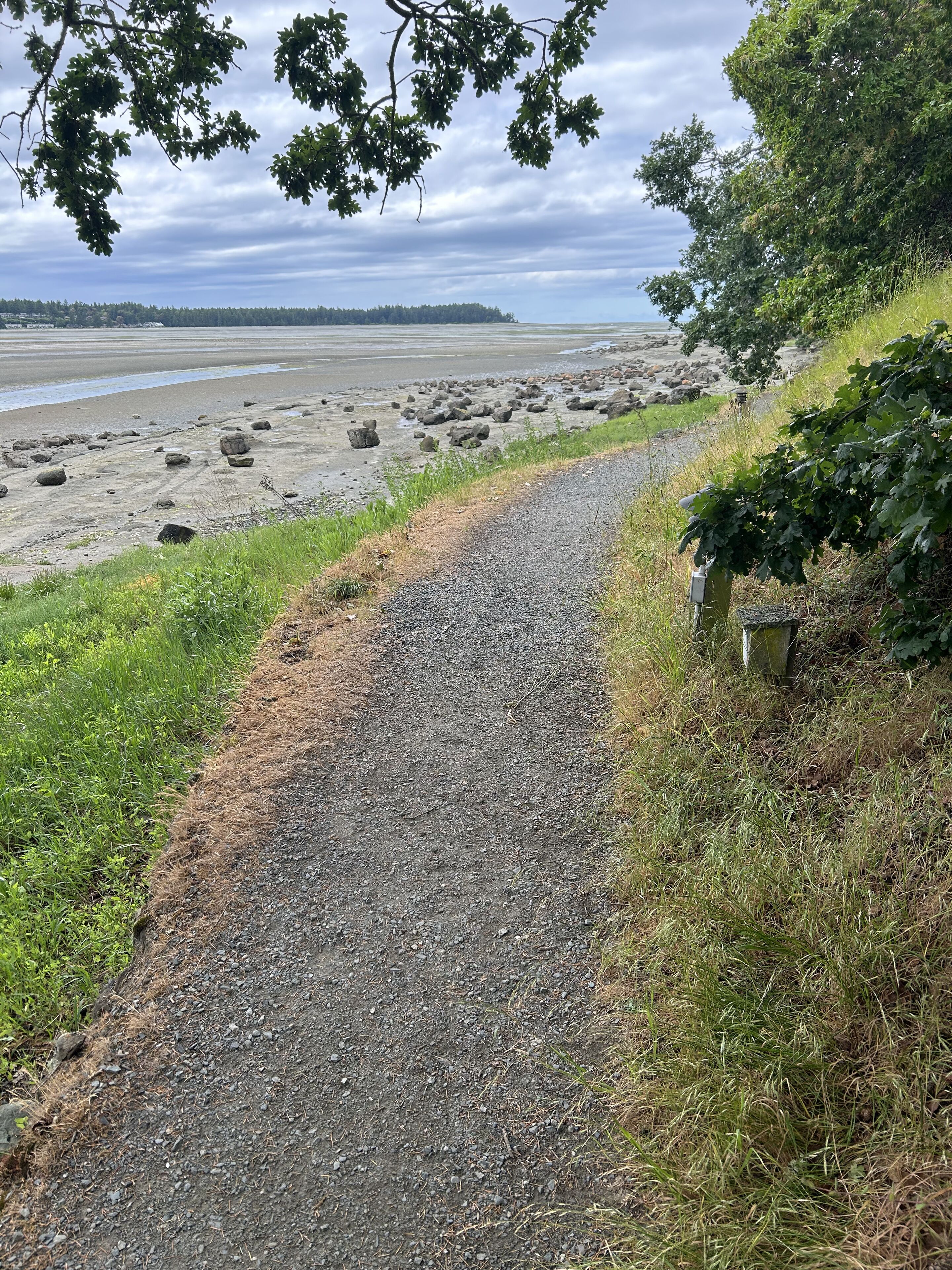 A gravel path leading to a beach with scattered rocks and a grassy area.