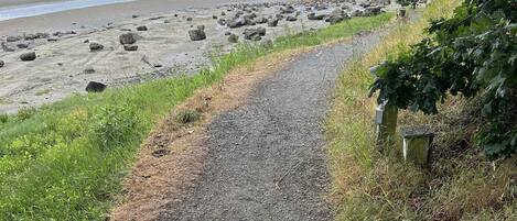 A gravel path leading to a beach with scattered rocks and a grassy area.