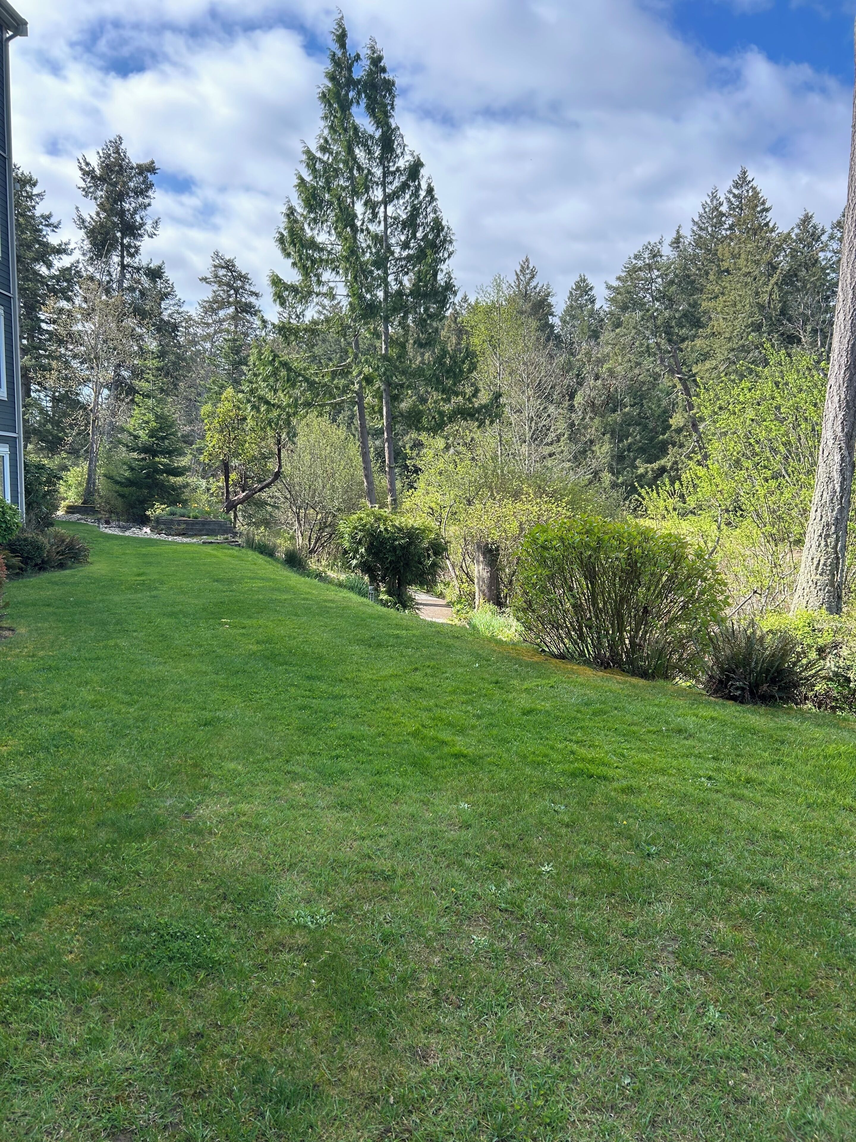 Une pelouse bien entretenue, un chemin et une variété d’arbres et d’arbustes.