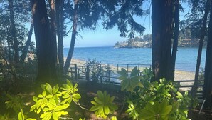 A coastal view with trees, a wooden fence, and a beach.