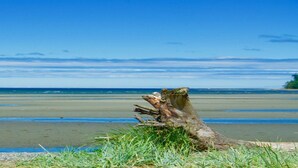 A beach with a fallen tree trunk in the foreground and a clear blue sky.