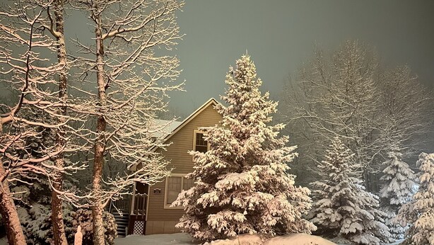 A snow-covered landscape with a house, trees, and a snow-covered lawn.
