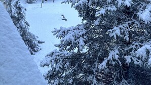 A snow-covered residential area with houses and trees.