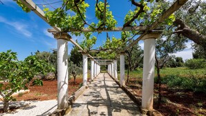 Un sentier bordé de vignes, avec des colonnes blanches et des treillis couverts de vignes.