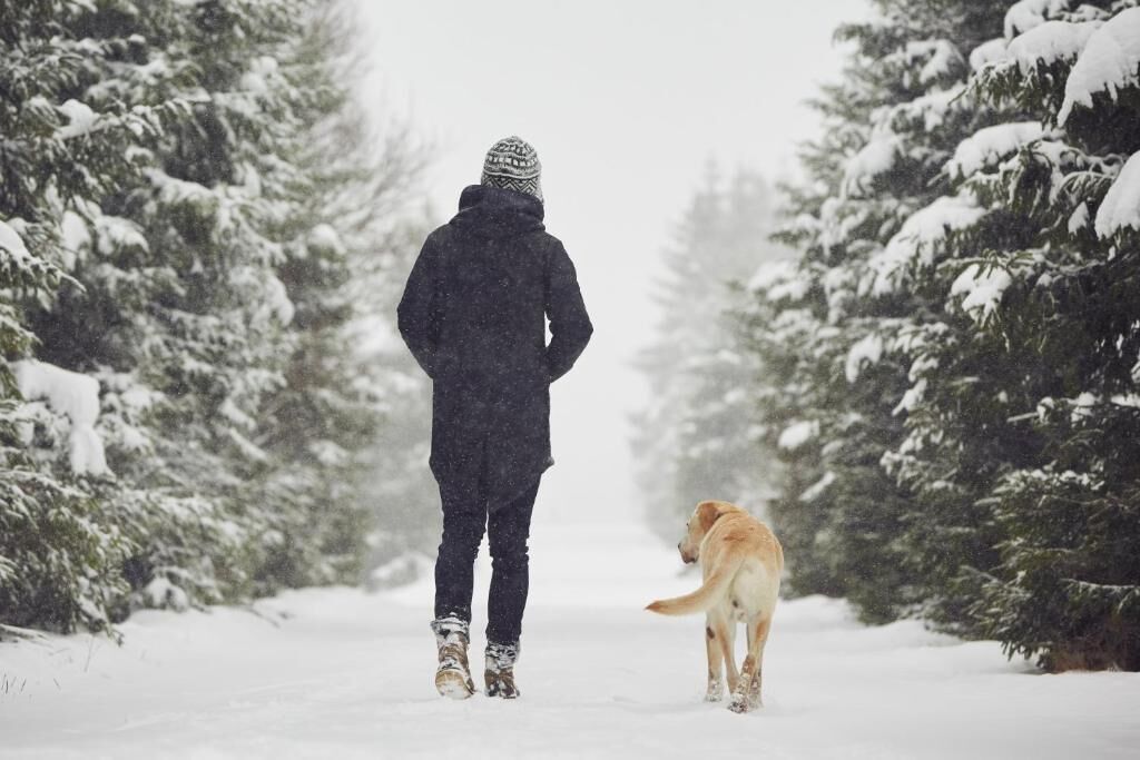 Een persoon loopt met een hond over een besneeuwd pad, omringd door met sneeuw bedekte bomen.