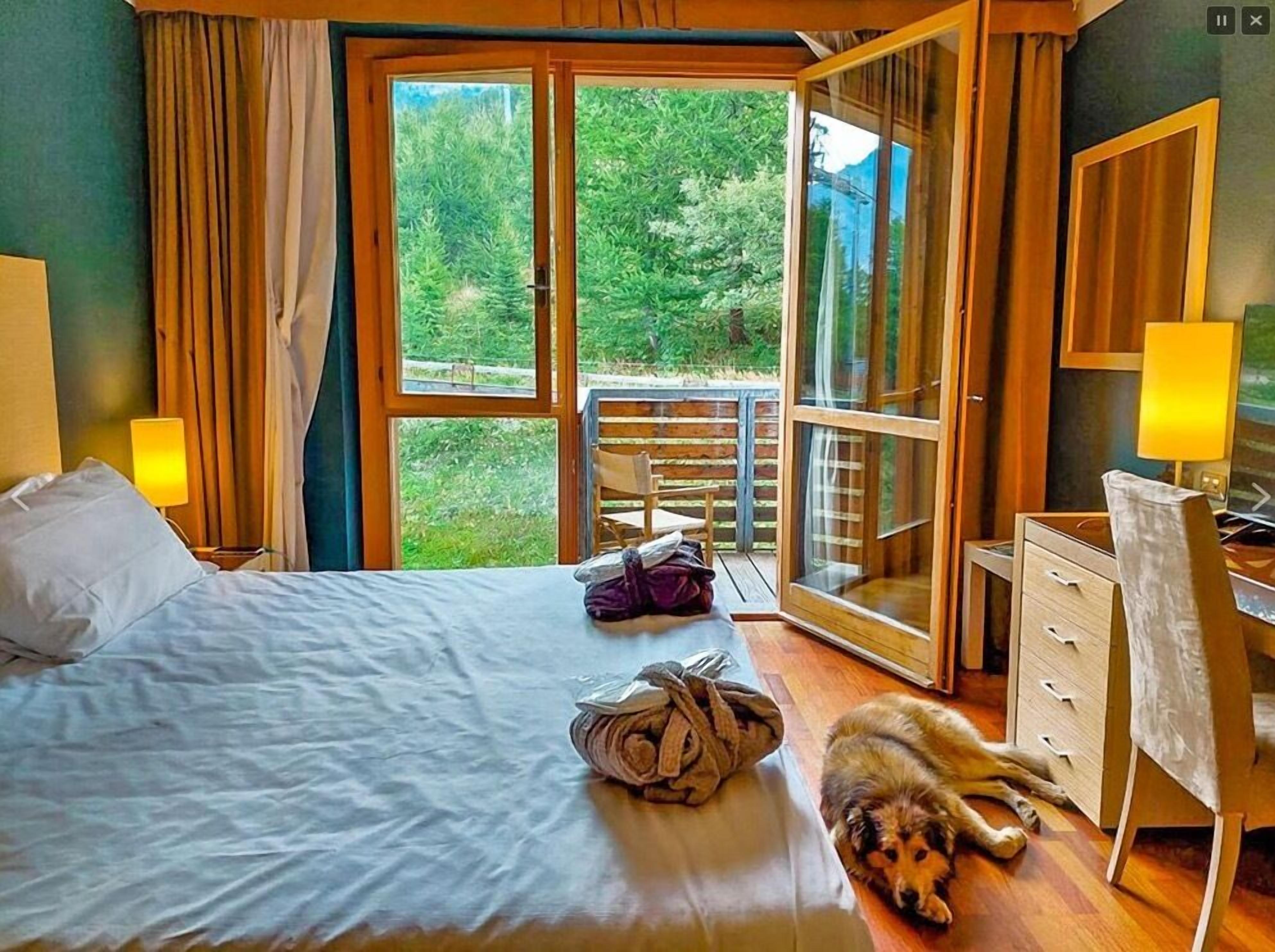 Ein Schlafzimmer mit Bett, Schreibtisch, Stuhl und Blick ins Freie.