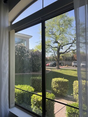 Interior - Amazing Scottsdale gated location with private yard (Scottsdale)