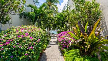 Áreas de la propiedad