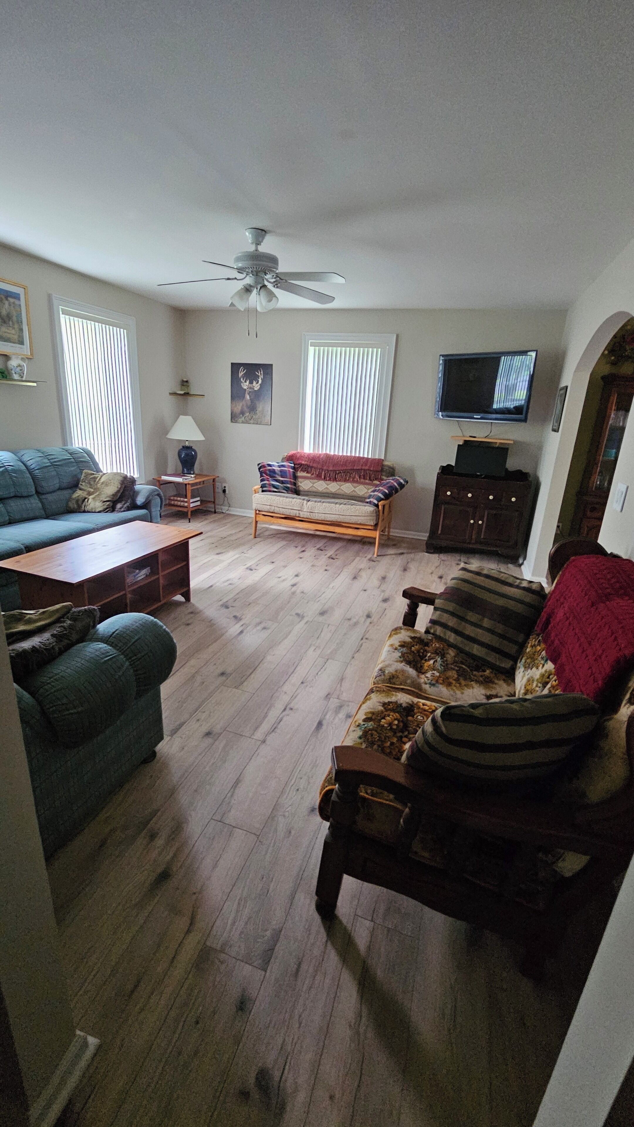 Smart TV y monitor de computadora 