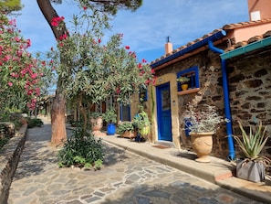 A narrow stone-paved street lined with traditional stone buildings, some with blue doors and windows, and various potted plants.