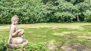 A stone Buddha statue in a garden with a grassy area and dense trees in the background. - A lovely shepherd’s hut, set quietly in a paddock with shade from mature trees. (Alkborough, near Scunthorpe)