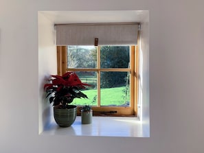 A window with a view of a green landscape, a potted plant, and a small table.
