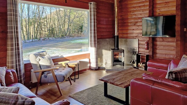 Un intérieur de chalet chaleureux avec une cheminée, des murs en bois, un téléviseur et une vue sur une forêt.
