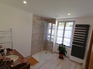 Une salle de bain moderne avec une douche à l’italienne en verre, un lavabo en marbre et une plante en pot.