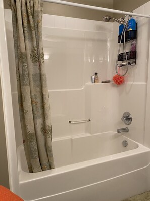 Combined shower/tub - Immaculate home in upmarket neighborhood  (Edmonton)