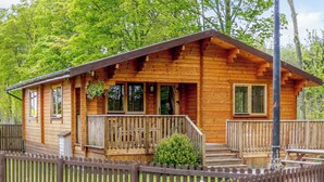 A wooden cabin with a porch, windows, and a fenced yard.