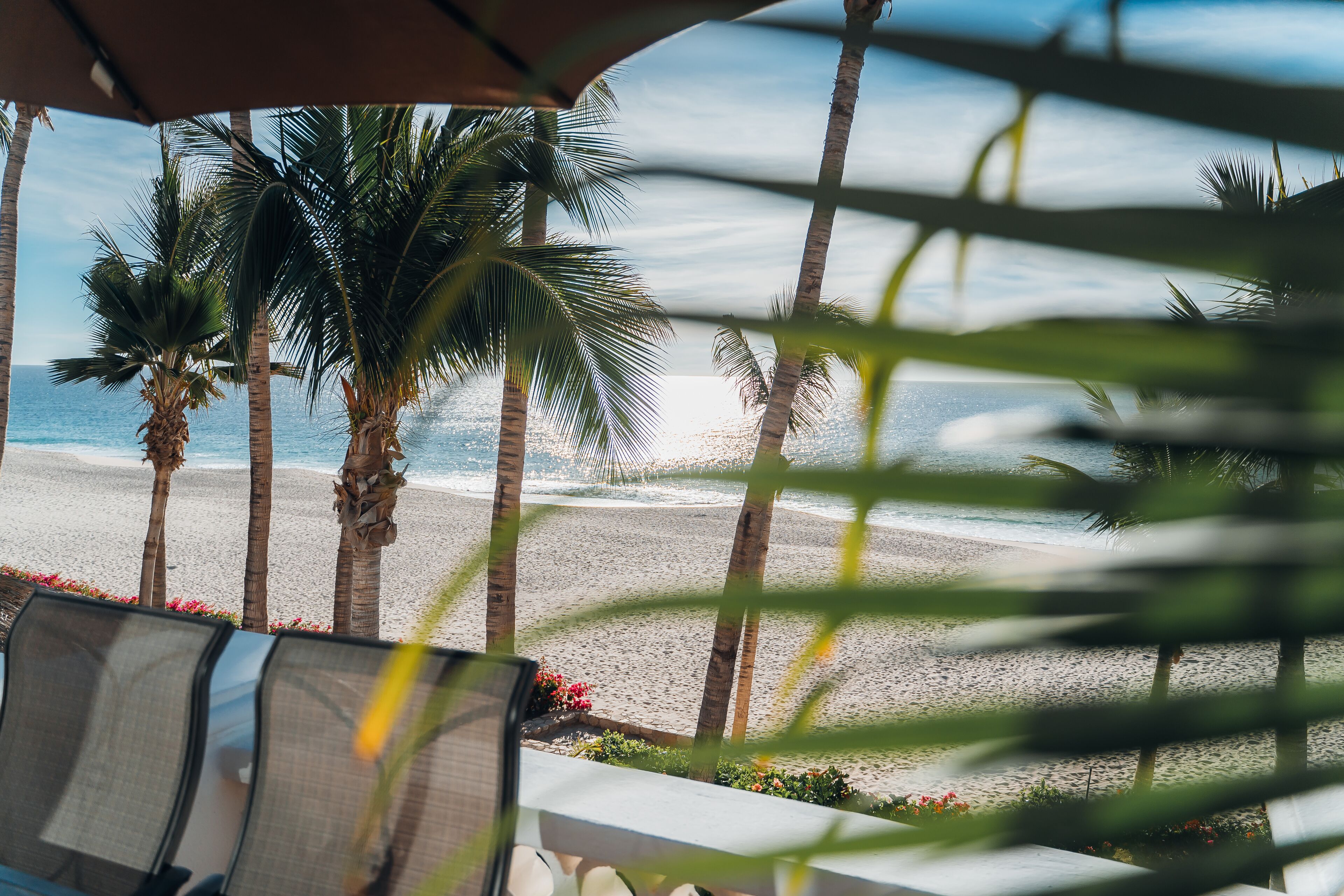 A beach view with palm trees and a clear sky.