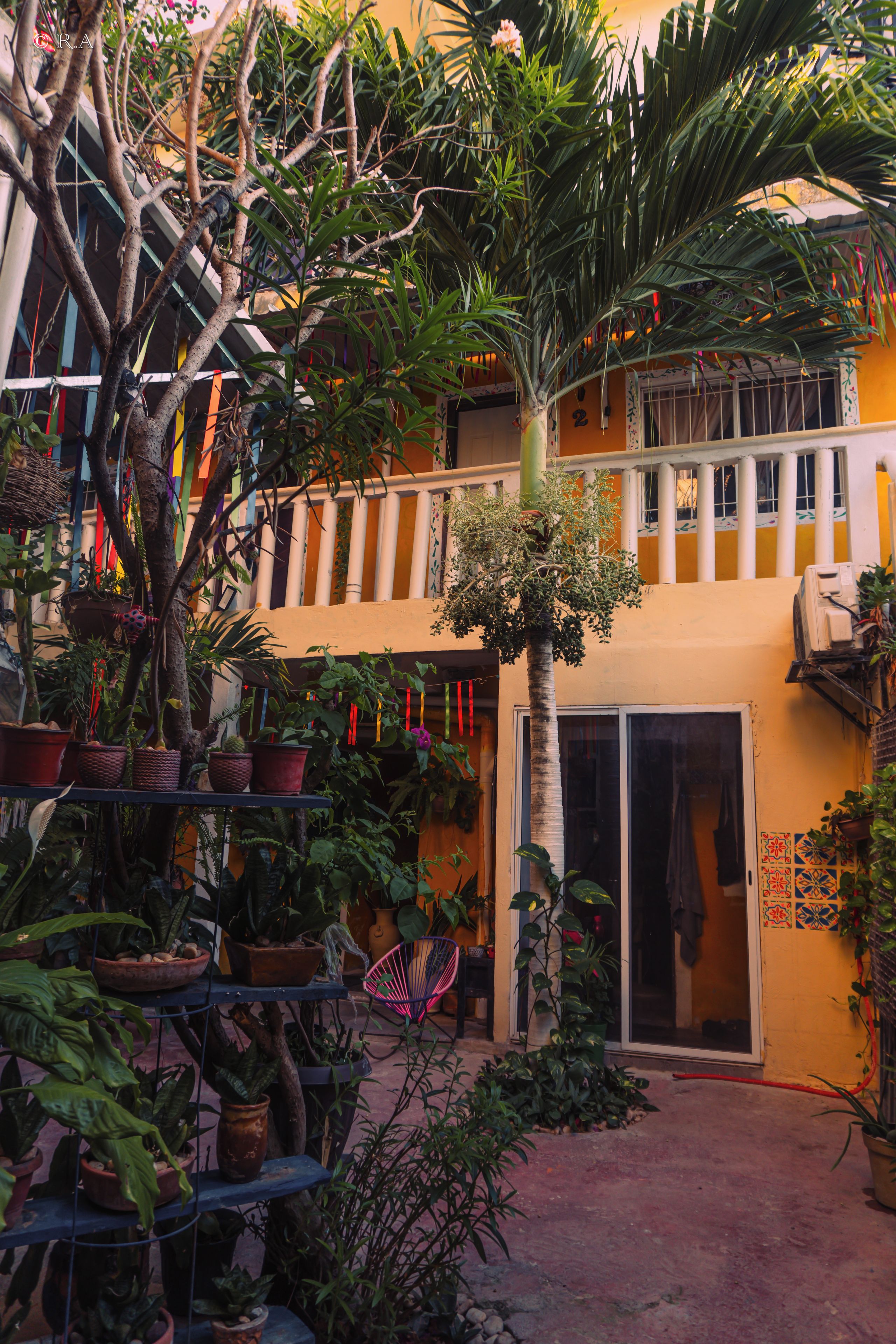 A courtyard with potted plants, a palm tree, and a building with a balcony.