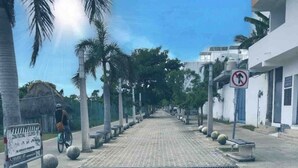A paved pathway lined with palm trees and benches, leading to a building with a white facade and a no-parking sign.