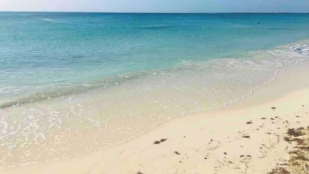 A beach with clear water and a visible horizon.