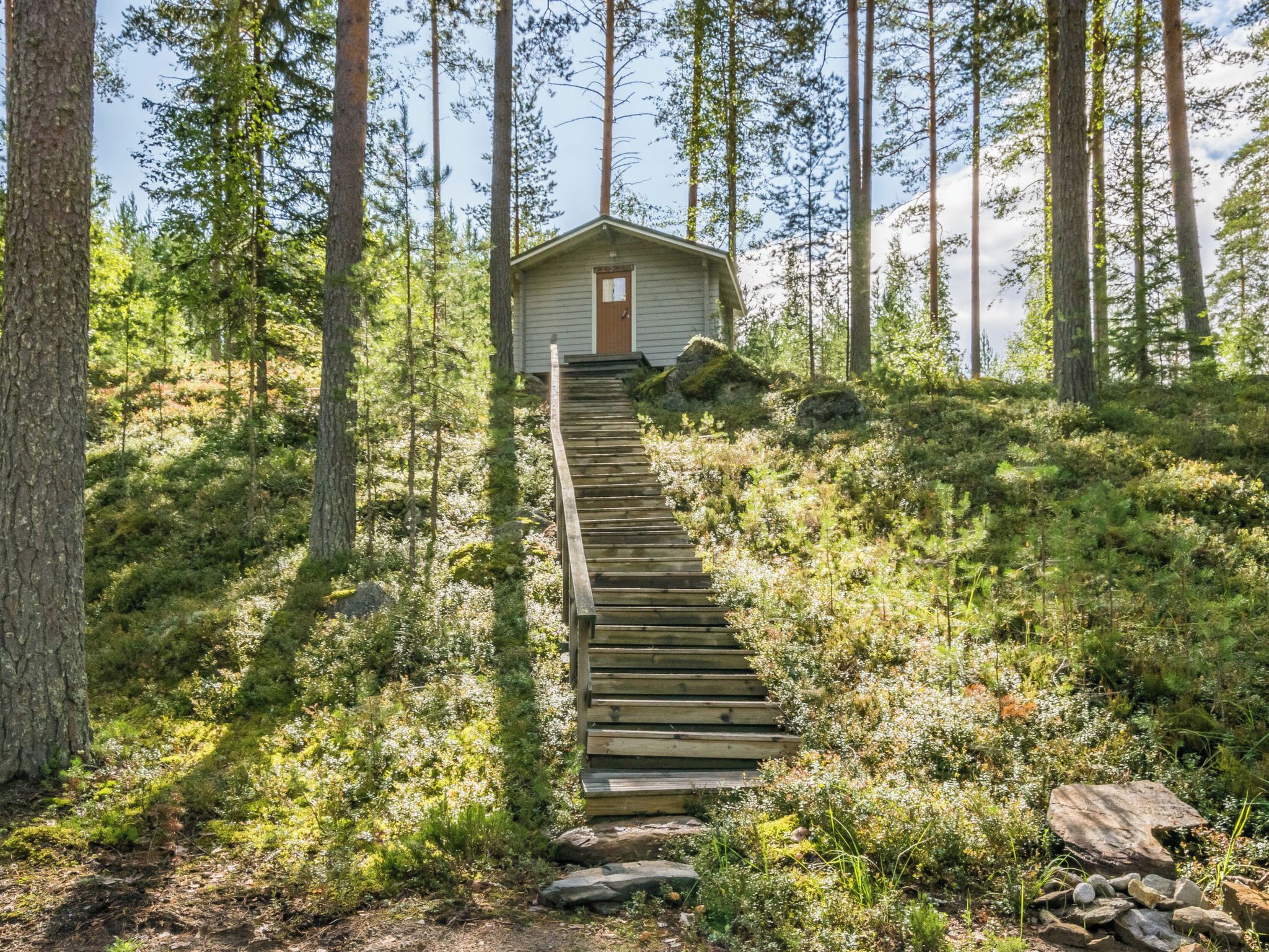 Una escalera de madera que lleva a una cabaña en un bosque.