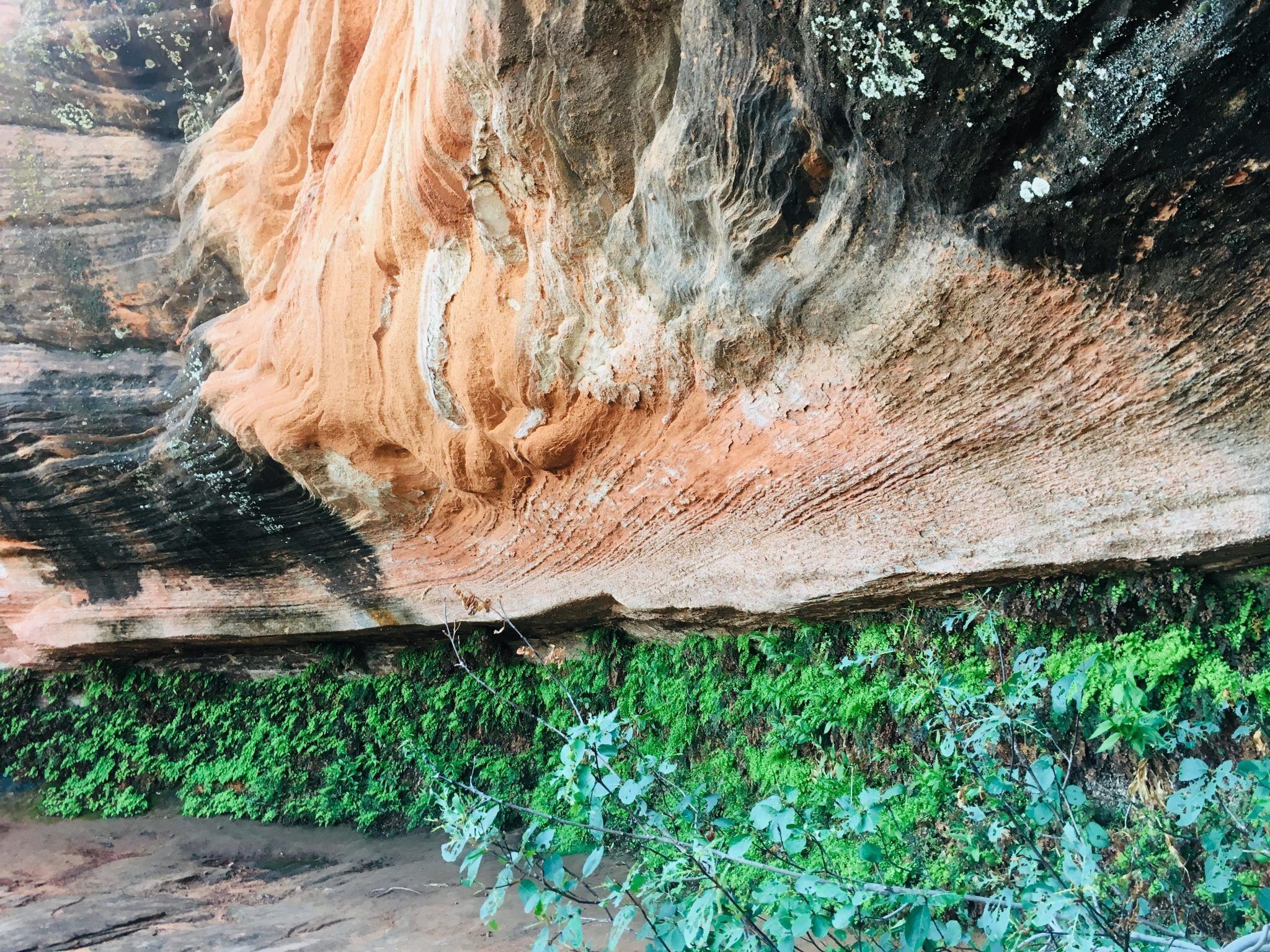 A large rock formation with a smooth, curved surface and a rough, textured base.