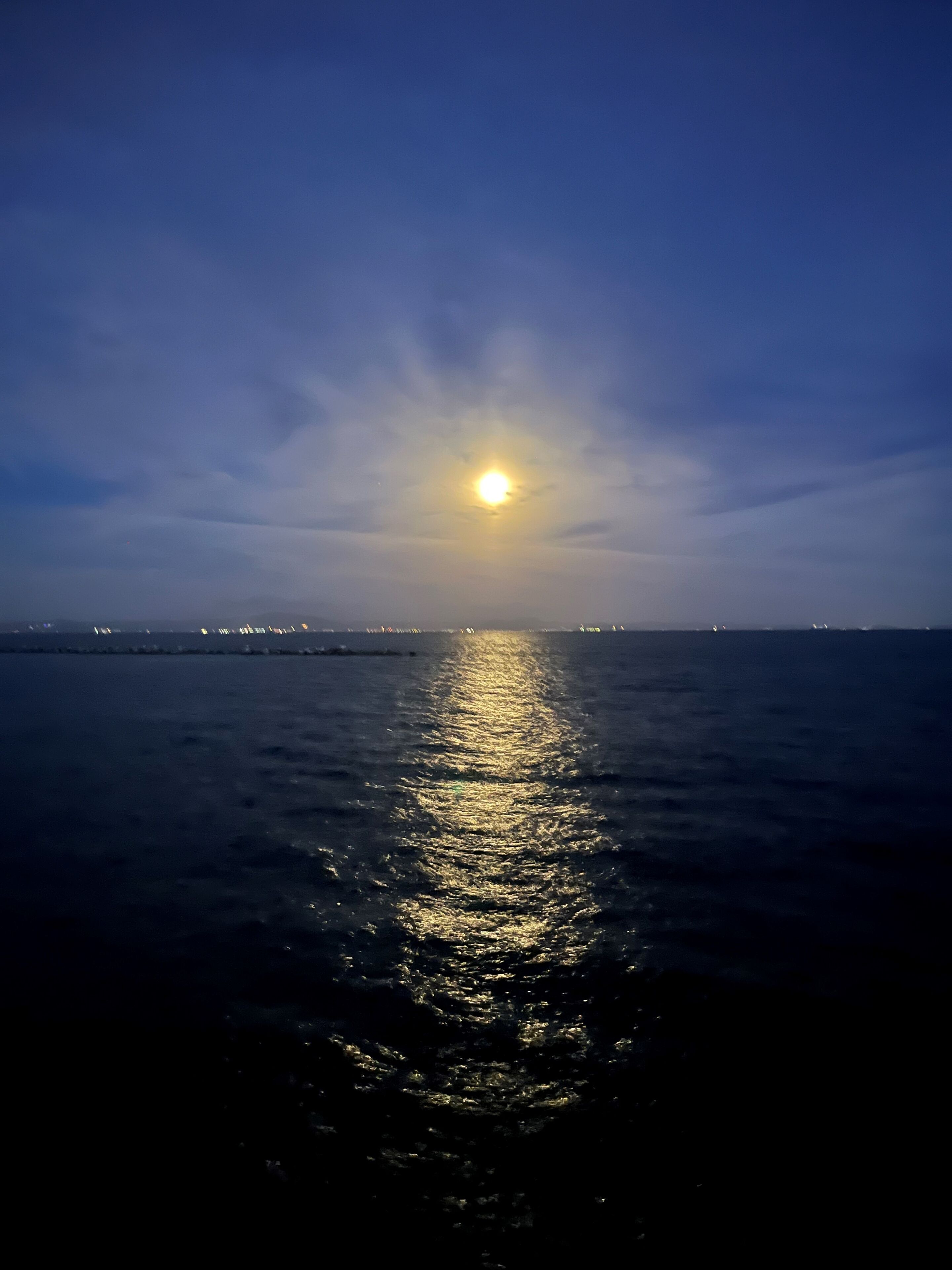 A calm sea reflecting the moonlight with a distant shoreline and city lights.